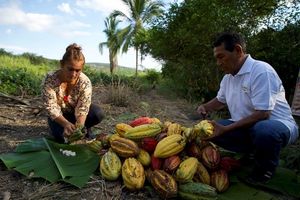 Peru project