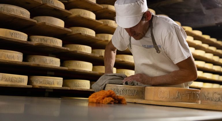 Formaggio d'alpe ticinese (image: IPI)