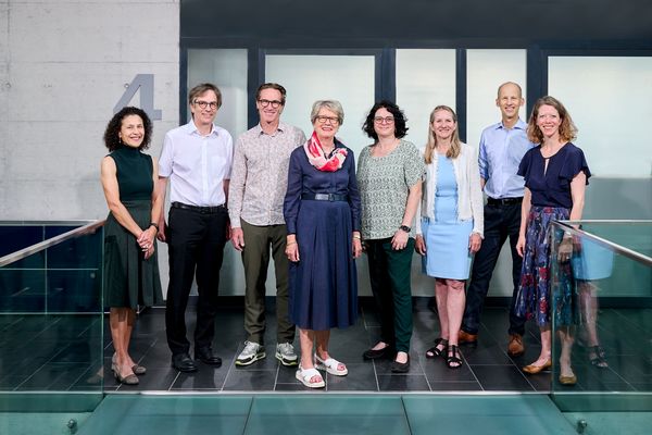 The Institute Council